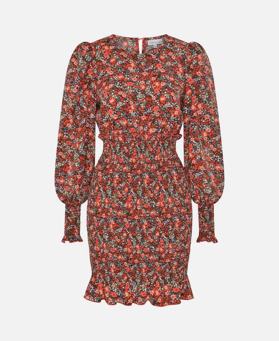 Red Floral Long Sleeve Mini Dress
